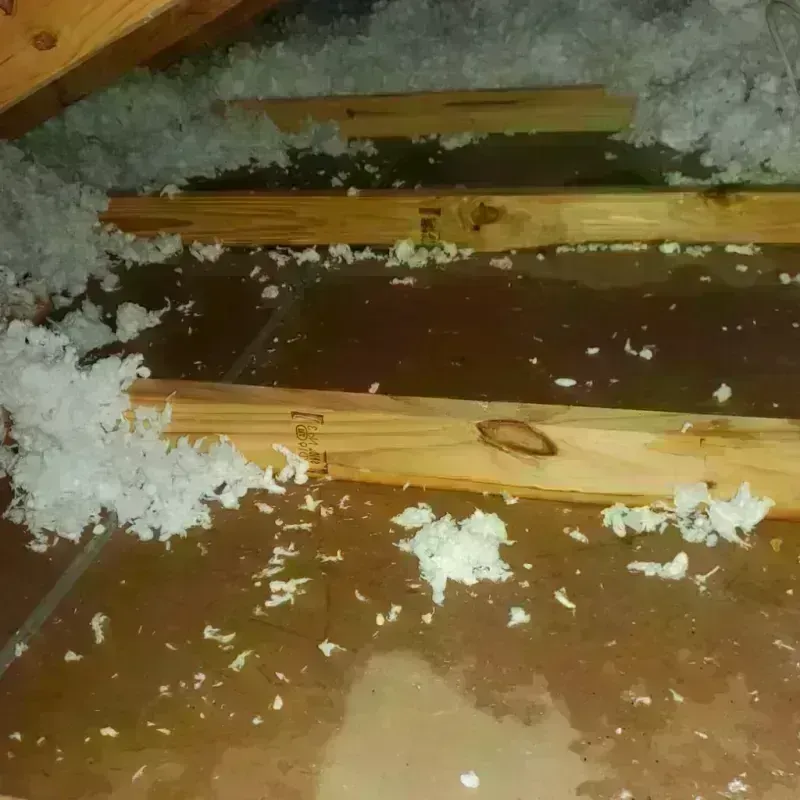 Attic Water Damage in Lunenburg, VT